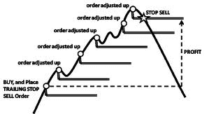 How to Register and Trade Forex on Exness How to Register and Trade Forex on Exness